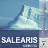 Iceberg (Original Mix) - Salearis