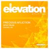Spectrum (Original Mix) - Precious Affliction