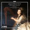 I. Allegro - Kurpfälzisches Kammerorchester&Kevin Griffiths