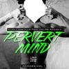 Pervert Mind (Junior Senna Remix) - Alan Capetillo&Felipe Accioly