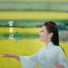 望春花 - 斯兰