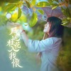 风送桂花入我怀（短曲版） - 唐丹岚