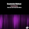 Taste Of Victory (Original Mix) - Svyatoslav Maltsev