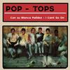 I Can't Go On - Pop Tops