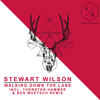 Walking Down the Lane - Stewart Wilson