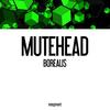 Borealis - Mutehead