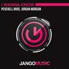 I Wanna Know - Peverell Bros&Jordan Morgan