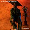 Surface (Zed Bias Remix) - Catching Cairo&zed bias&Tiffani Amber Singh-Brown