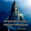 Om Namah Shivaye Peaceful Meditation - Apurva Sethi