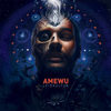 Rückblick - Amewu&Chefket
