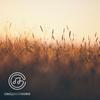Paradise Awaits - DenisSky&CHG&Denis Samburskiy