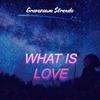 WHAŦ IS LØVE (Eletro Remix) - Gravezaum Stronda