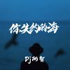 你失约的海 - DJ阿智