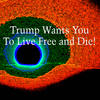 Trump Wants You to Live Free and Die - delusional