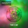 Surrender (Original Mix) - DrumsMaster&Roachh