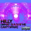 What Is A DJ If He Can't Spam (Original Mix) - Hilly