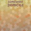 Somewhat Domicile - Robi Cras