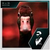 Ducking (Radio Edit) - Mr. & Mr.