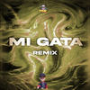 Mi Gata (Remix|Explicit) - Dj Pirata&El Kaio&Tomy DJ