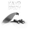 Spicy (Original Mix) - Kayp