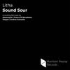 Litha (Franco Di Benedetto Remix) - Sound Sour&Franco Di Benedetto