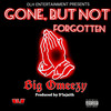 Gone, but Not Forgotten (Explicit) - Big Omeezy