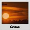 Rise - Conny Desel
