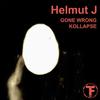 Gone Wrong - Helmut J