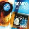 Sexual Healing (Radio Version) - Romeo&Ambush&I.V.A.