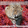 Boogieman (Mountax Remix) - 3ngine