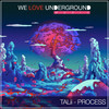 Process - Talii