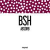 Absorb - BSH