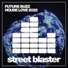 House Love (Seamus Rogers Remix) - Future Buzz