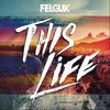 This Life (Radio Edit) - Felguk