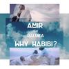 Why Habibi? - aMiR&Raluka