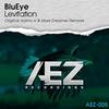 Levitation (Kaimo K Remix) - BluEye