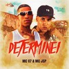 Determinei - MC V7&MC Jsp