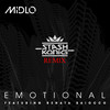 Emotional (feat. Renata Baiocco & Stash Konig) (Stash Konig Remix) - MidLo&Renata Baiocco&Stash Konig