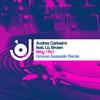 Why (Groove Assassin Remix) - Andrea Carissimi< Brown