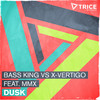 Dusk (Radio Edit) - Bass King&X-Vertigo&MMX
