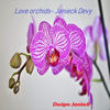 Love Orchids - Janieck