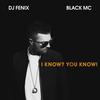 I Know? You Know!(feat. Black Mc) (DJ Solovey Remix) - DJ Fenix&DJ Solovey&Black MC