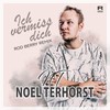 Ich vermiss dich (Rod Berry Radio Mix) - Noel Terhorst