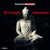 It's Over - DJ Criswell&Sebastiann