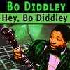 Don't Let It Go - Bo Diddley