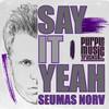 Say It Yeah (Radio Mix) - Seumas Norv