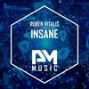 Insane (Original Mix) - Ruben Vitalis