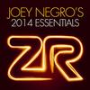 Candidate for Love (Joey Negro Feelin' Love Dub) - Joey Negro&Dave Lee&Horse Meat Disco