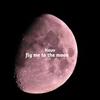 Fly Me to the Moon - Kavv