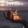 Junom (Bashan Lyngdoh Remix) - Bashan Lyngdoh&Melobars&B4NDIT